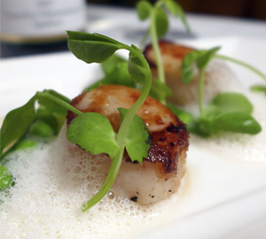 scallops